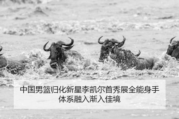 中国男篮归化新星李凯尔首秀展全能身手 体系融入渐入佳境